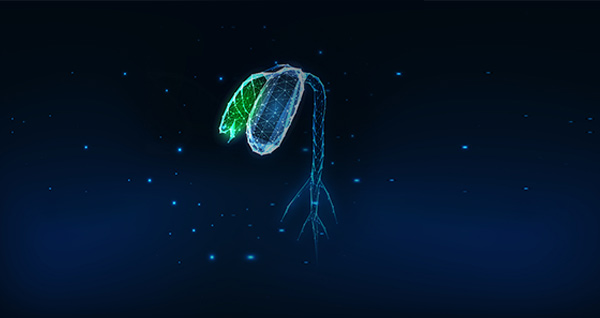 生物種業研究應用